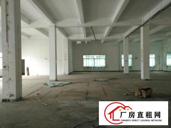  清溪镇标准厂房1楼800平方出租，层高6米。