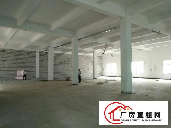  清溪镇标准厂房1楼800平方出租，层高6米。