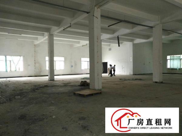  清溪镇标准厂房1楼800平方出租，层高6米。