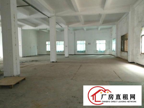  清溪镇标准厂房1楼800平方出租，层高6米。