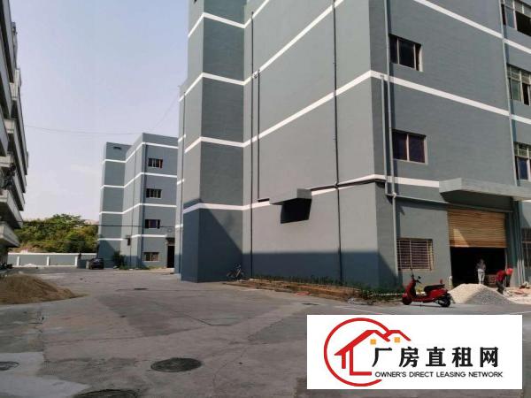  清溪三中工业区3万平方厂房出租200起租楼上10元一楼厂房租
