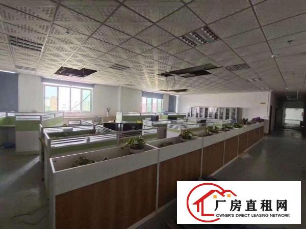  清溪新出独栋厂房出租，500平方起租，共计10500平方