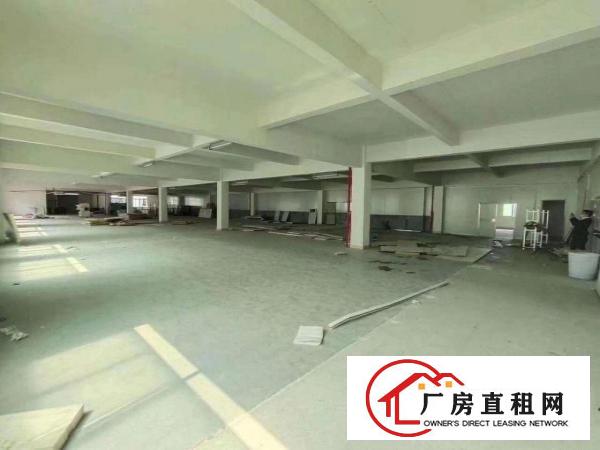  清溪新出独栋厂房出租，500平方起租，共计10500平方