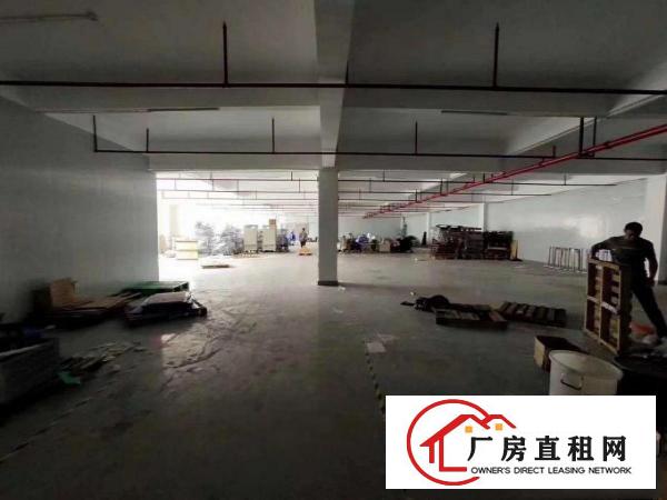  清溪新出独栋厂房出租，500平方起租，共计10500平方