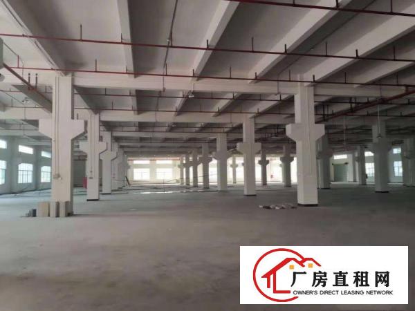  （原房东直租）清溪全新独院厂房28000平带喷淋牛角大小可分