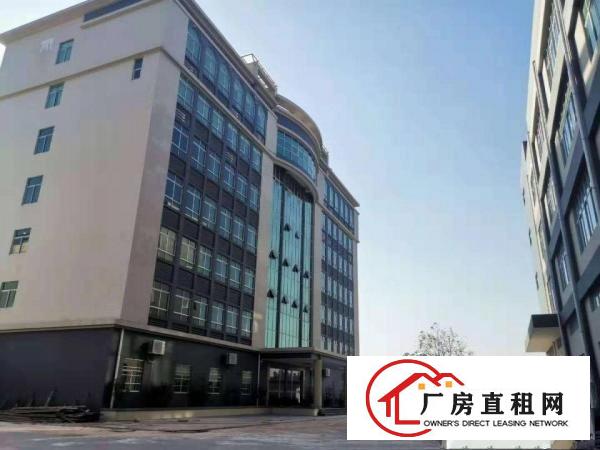  （原房东直租）清溪全新独院厂房28000平带喷淋牛角大小可分