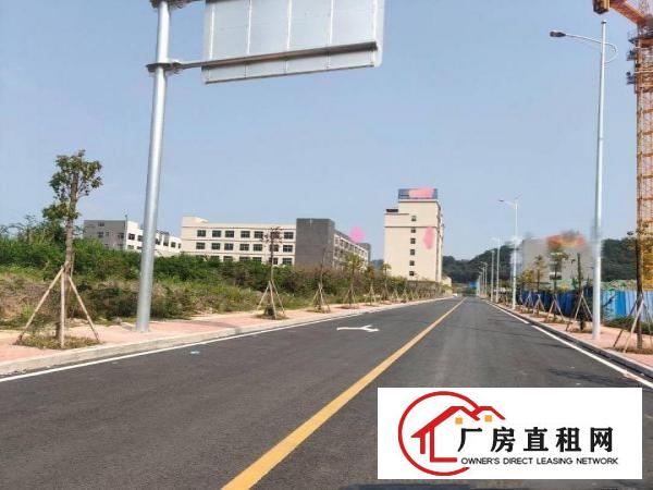  （原房东直租）清溪全新独院厂房28000平带喷淋牛角大小可分