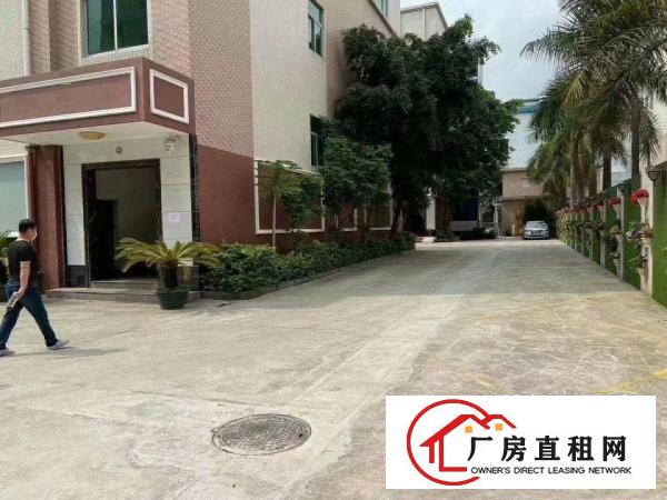  清溪镇新出标准厂房2楼1500平方，带豪华装修出租