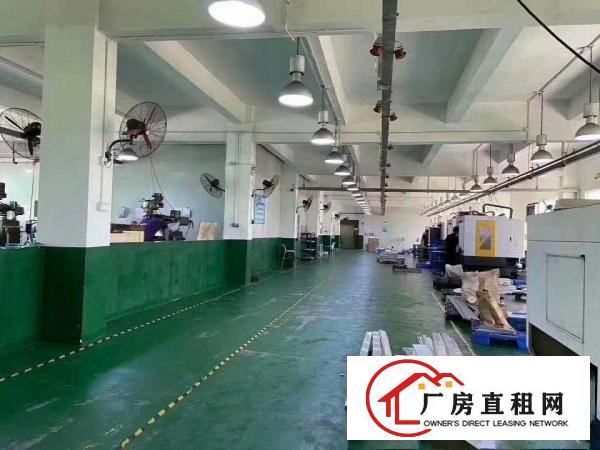  清溪镇新出标准厂房2楼1500平方，带豪华装修出租