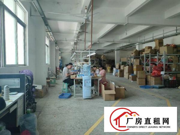  清溪厂房招租二楼1500平豪华精装修可分租，好招工。