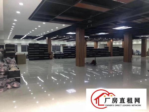  清溪三中原房东高新产业园出租