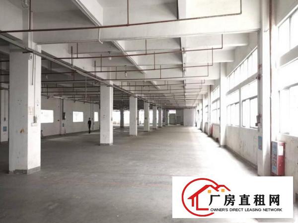  清溪镇九成新厂房500起租，带行车前台办公室！