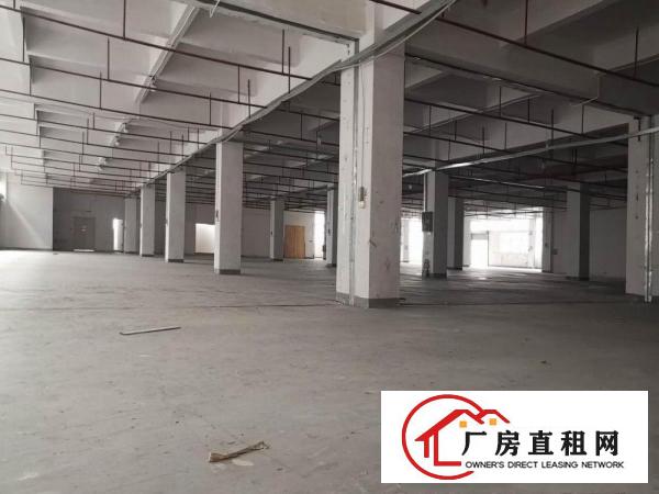  清溪镇九成新厂房500起租，带行车前台办公室！
