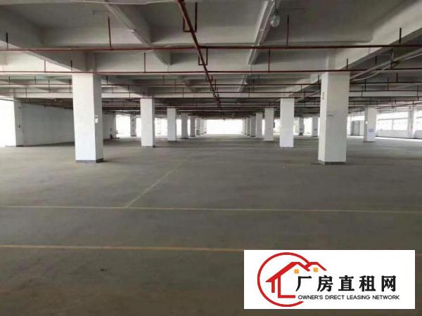  清溪镇九成新厂房500起租，带行车前台办公室！