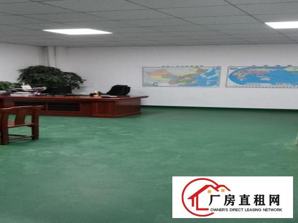  清溪九乡靠山边破碎抽粒木材钢构厂房出租950平水电齐全