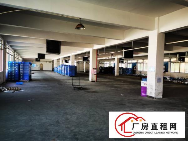  清溪罗马村原房东独院厂房1000平方可办环评大小可分租