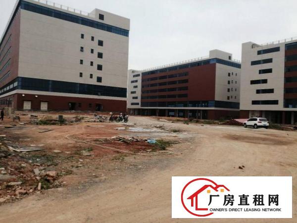  出租，清溪超大，全新厂房，单价17元