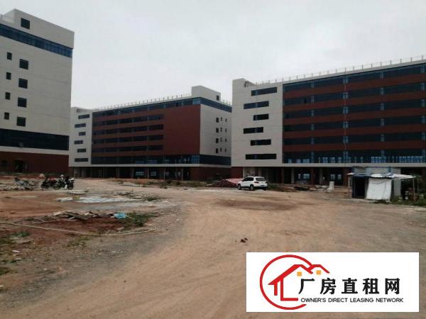  出租，清溪超大，全新厂房，单价17元