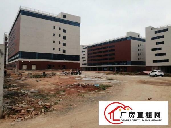  出租，清溪超大，全新厂房，单价17元