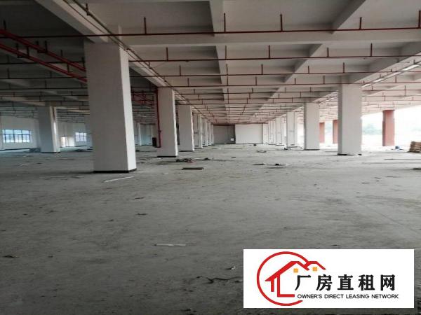  出租，清溪超大，全新厂房，单价17元