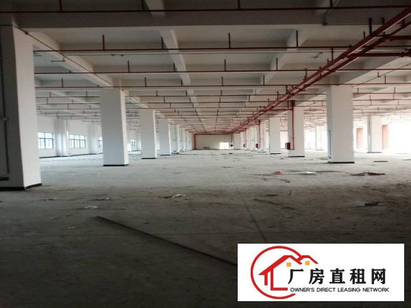 出租，清溪超大，全新厂房，单价17元