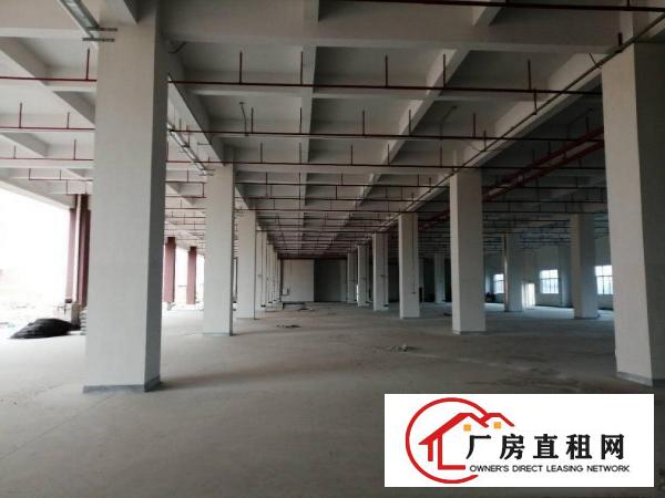  出租，清溪超大，全新厂房，单价17元