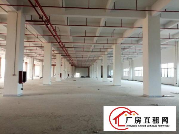  出租，清溪超大，全新厂房，单价17元