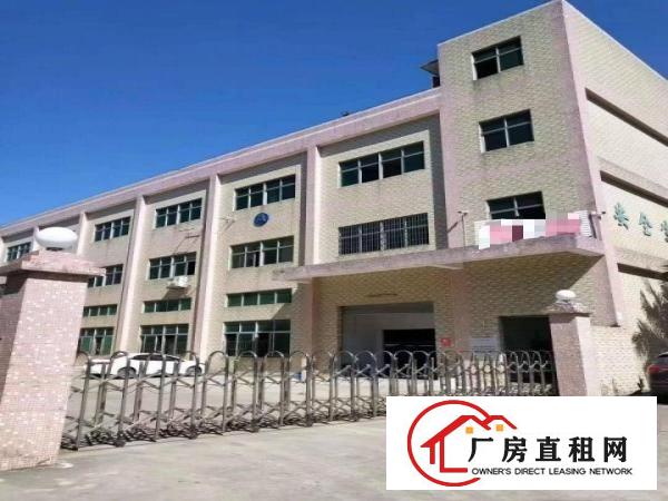  每日特价厂房不敢相信，标准厂房二楼11.8元