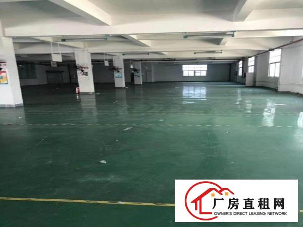  清溪镇原房东小独院厂房出租2层3500平方米带办公楼无公摊