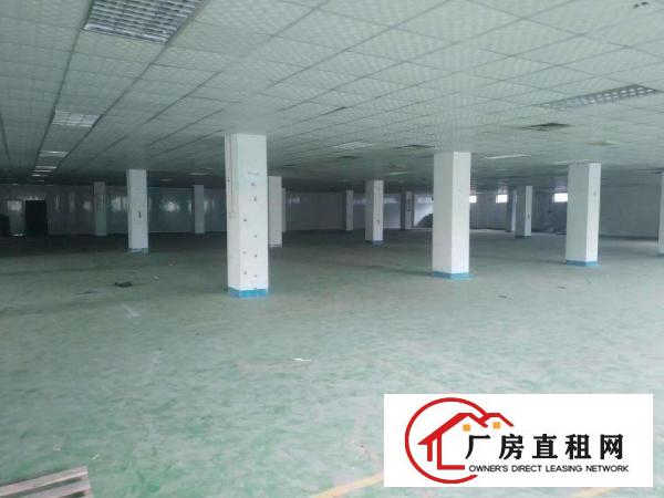  清溪大利花园式独院厂房分租二楼1700平现成装修水电齐全