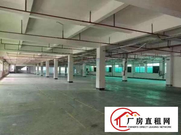  清溪主干道边上花园式厂房出租，独栋办公室装修