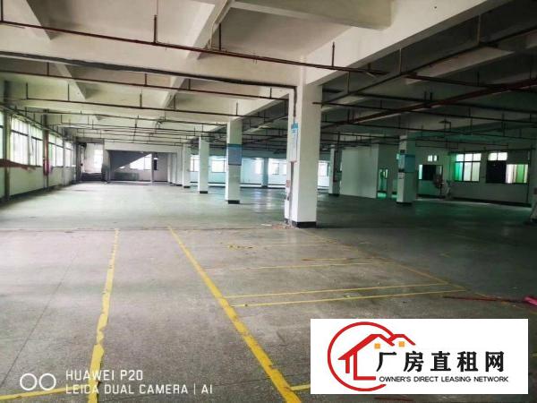  清溪主干道边上花园式厂房出租，独栋办公室装修