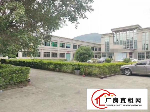  清溪主干道边上花园式厂房出租，独栋办公室装修