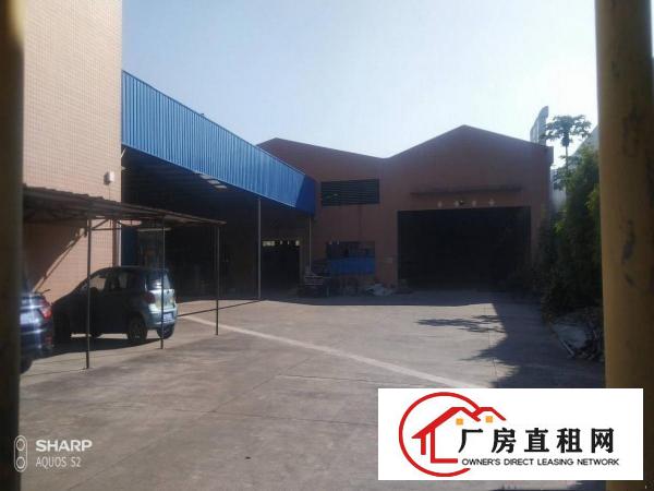  清溪独院厂房可分租可整租