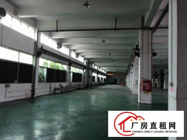  清溪厦坭村新出原房东一楼1480平带装修厂房出租（可分租）