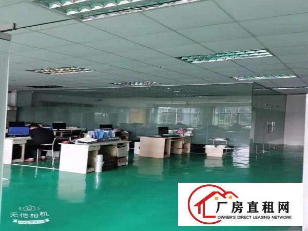  清溪三中楼上带精装修标准厂房1000平招租现成水电办公室
