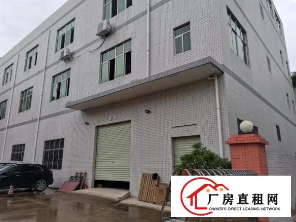  清溪厂房出租上元村新出一楼1100平厂房出租拎包生产