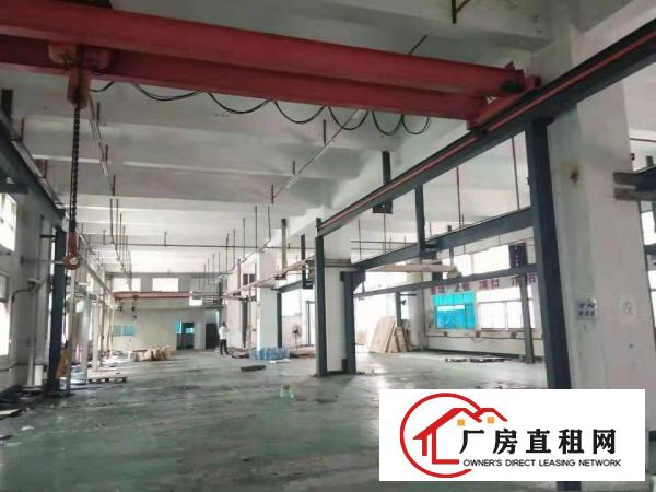  清溪厂房出租上元村新出一楼1100平厂房出租拎包生产