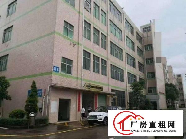  清溪镇谢坑村新出原房东二楼整层1380平精装修厂房出租可分租