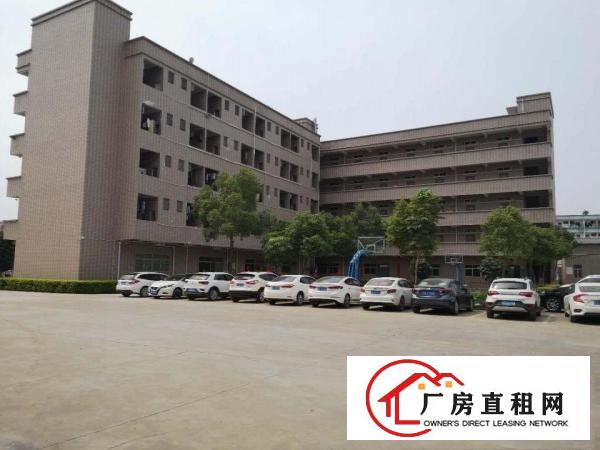  （招租）清溪三中工业园新空出标准3楼1000平，带豪华装修
