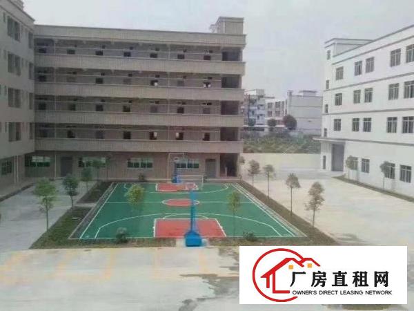  （招租）清溪三中工业园新空出标准3楼1000平，带豪华装修