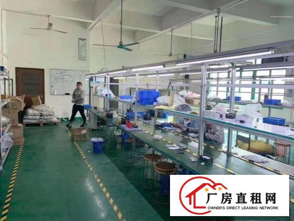  （招租）清溪三中工业园新空出标准3楼1000平，带豪华装修