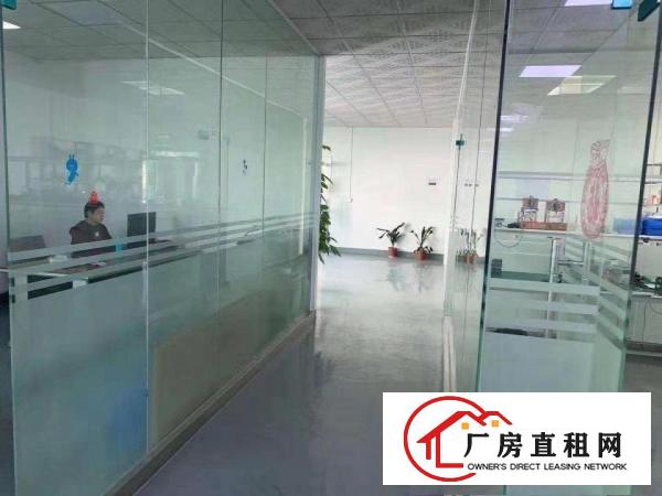  （招租）清溪三中工业园新空出标准3楼1000平，带豪华装修