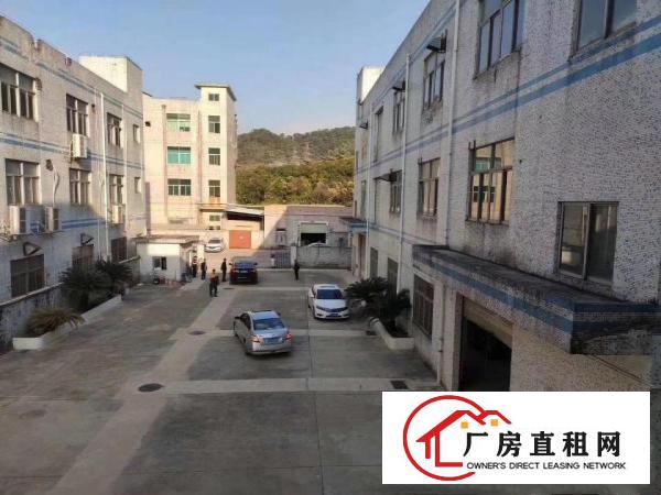  谢坑村新出一楼320平二楼500平厂房出租可分租