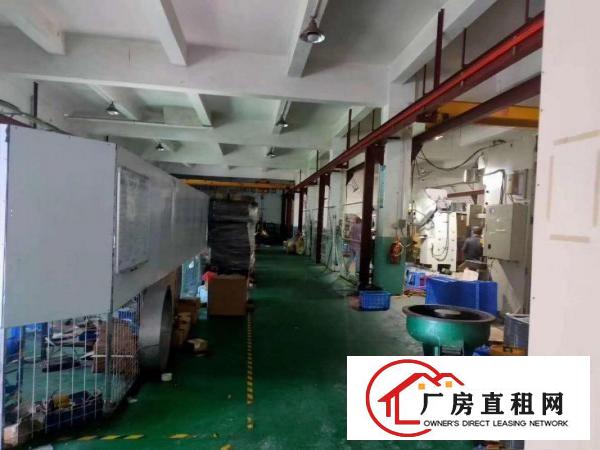  清溪三中花园式原房东标准一楼1300平实际出租