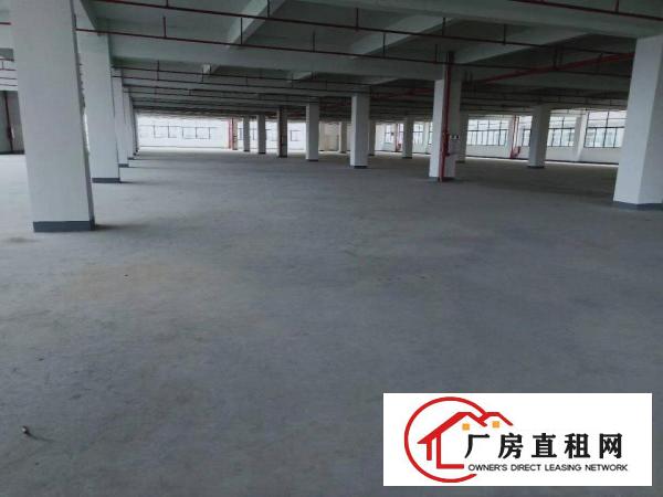  东莞清溪0公摊红本厂房4800平招租，工业厂房可办环评