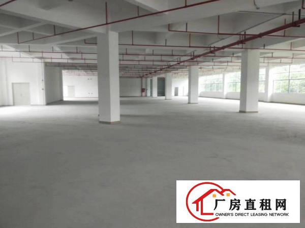  东莞清溪0公摊红本厂房4800平招租，工业厂房可办环评