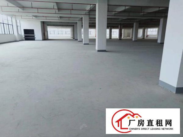  东莞清溪0公摊红本厂房4800平招租，工业厂房可办环评