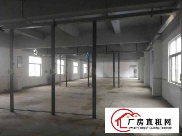  清溪新出重河原房东独门独院厂房3500平米实际面积出租
