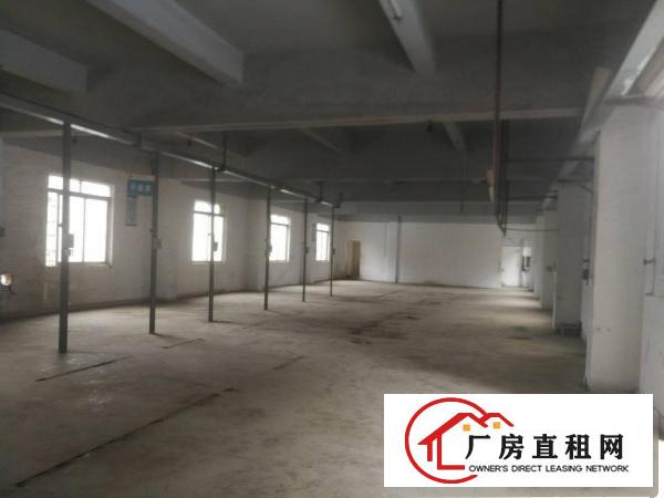  清溪新出重河原房东独门独院厂房3500平米实际面积出租